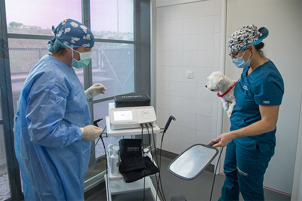 Centro de Cirugía Veterinaria