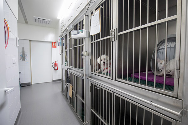 Jaulas - Centro de Cirugía Veterinaria