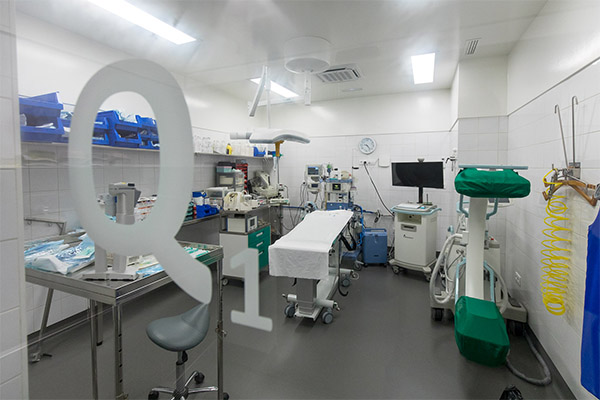 Quirófano - Centro de Cirugía Veterinaria